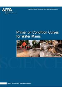 Primer on Condition Curves for Water Mains