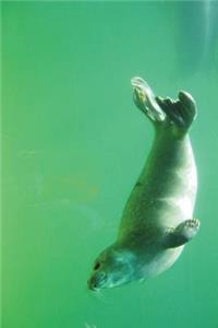 The Swimming Seal Journal: 150 Page Lined Notebook/Diary