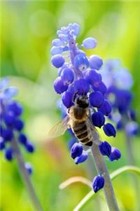 Bee on a Blue Flower Nature Journal