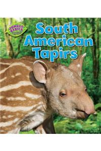 South American Tapirs