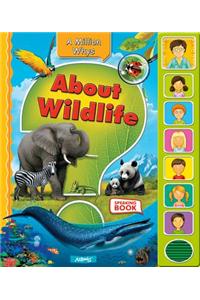 About Wildlife