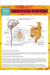 Nervous System (Speedy Study Guide)