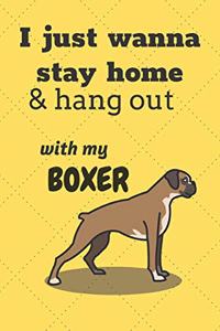 I just wanna stay home & hang out with my Boxer