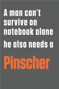 A man can't survive on notebook alone he also needs a Pinscher