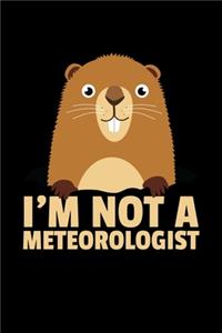 I'm Not a Meteorologist