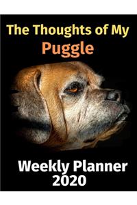 The Thoughts of My Puggle