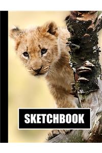 Sketchbook