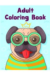 Adult Coloring Book