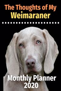 The Thoughts of My Weimaraner