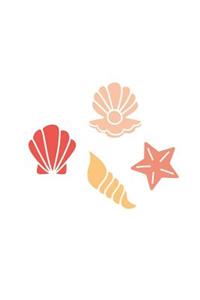 Seashells at the Beach