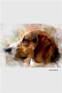 Beagle Notebook