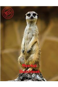 Meerkat Sketchbook