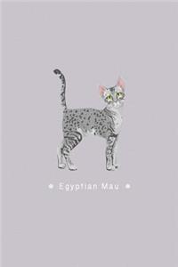 Egyptian Mau