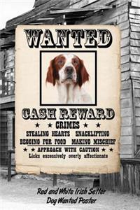 Red and White Irish Setter Dog Wanted Poster