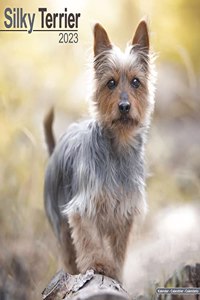 Silky Terrier 2023 Wall Calendar