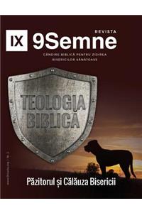 Teologia Biblică (Biblical Theology) 9Marks Romanian Journal (9Semne)