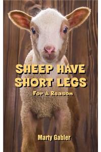 Sheep Have Short Legs