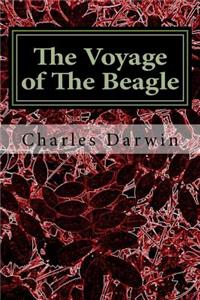 Voyage of The Beagle