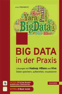 Big Data in der Praxis