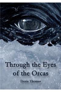 Through the Eyes of the Orcas