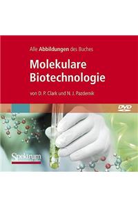 Bild-DVD, Molekulare Biotechnologie, Die Abbildungen Des Buches