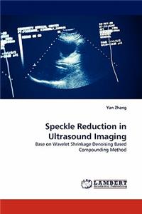 Speckle Reduction in Ultrasound Imaging