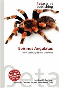 Episinus Angulatus