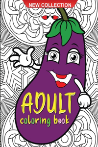 Adult coloring book
