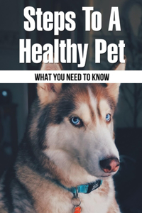 Steps To A Healthy Pet