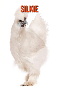 Silkie