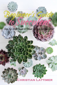 Beginner's Guide to Succulent