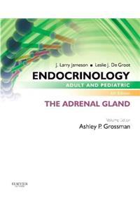 Endocrinology Adult and Pediatric: The Adrenal Gland