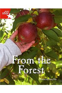 Fantastic Forest Red Level Non-Fiction: From the Forest
