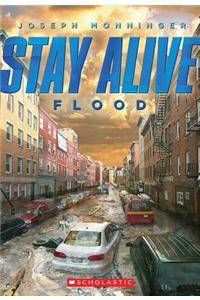 Flood