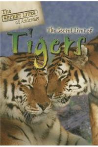 Secret Lives of Tigers