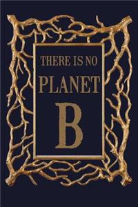 There Is No Planet B