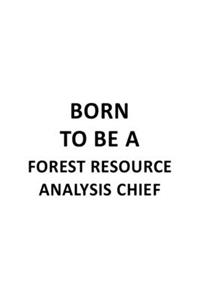 Born To Be A Forest Resource Analysis Chief