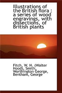 Illustrations of the British Flora