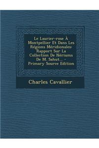 Le Laurier-rose À Montpellier Et Dans Les Régions Méridionales