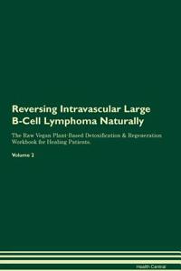 Reversing Intravascular Large B-Cell Lymphoma Naturally the Raw Vegan Plant-Based Detoxification & Regeneration Workbook for Healing Patients. Volume 2