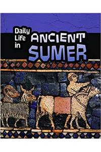 Daily Life in Ancient Civilizations Pack B of 4