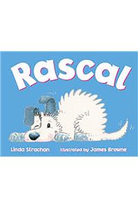 Rigby Literacy: Student Reader Bookroom Package Grade 1 (Level 10) Rascal