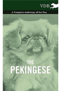 Pekingese - A Complete Anthology of the Dog
