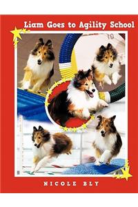 Liam Goes to Agility School