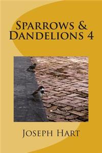 Sparrows & Dandelions 4