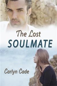 Lost Soulmate: ...a forever love story