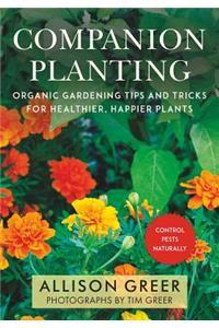 Companion Planting