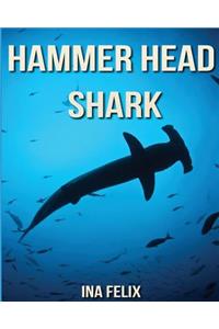 Hammer Head Shark