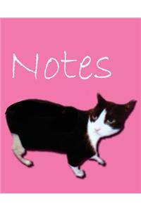 Cat Notes