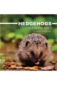 Hedgehogs Calendar 2017